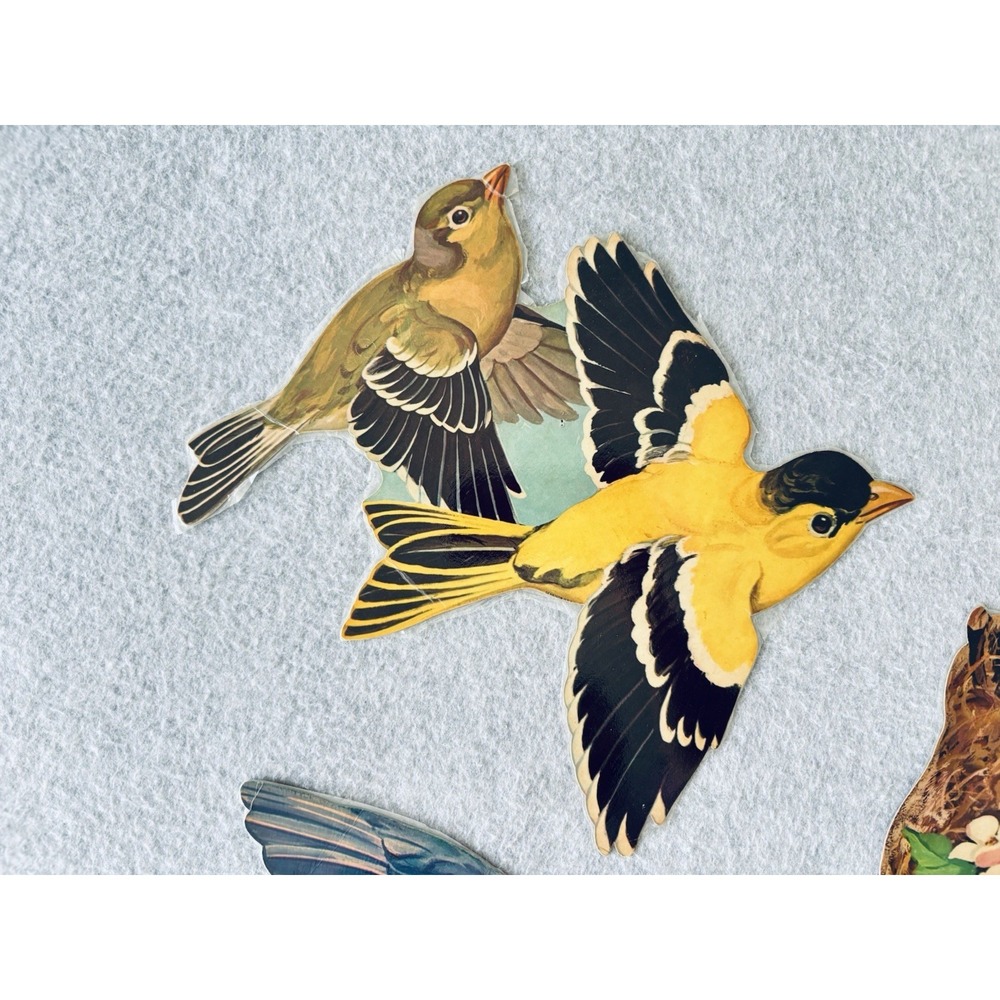 Lot of 3 Vintage Dennison Colorful Bird 1950's Die-Cut Decorations Laminated - Picture 4 of 9